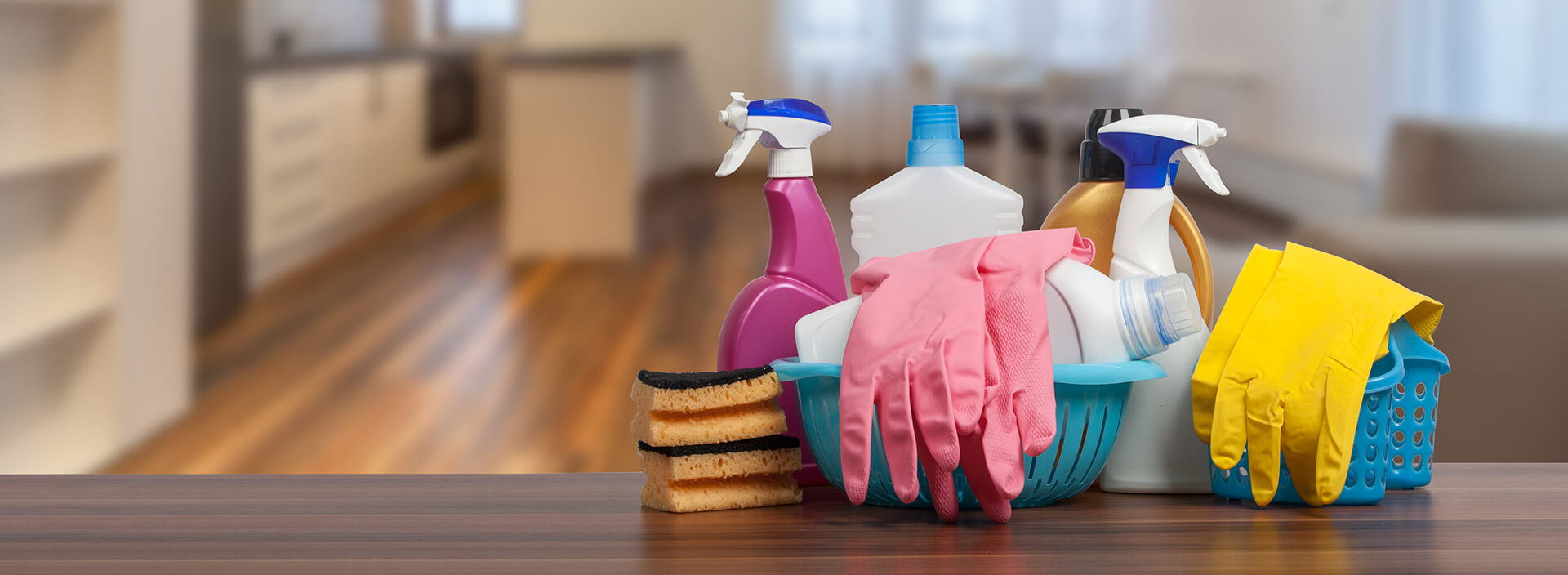 Cleaning Services